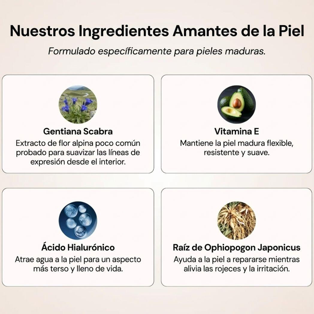 🔥 OFERTA HOY 24,95€ ⏳ STOCK LIMITADO 🚚 ENVÍO 14/24H